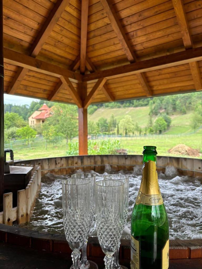 Hotel Casa Irina Mînăstirea Humorului Exterior foto